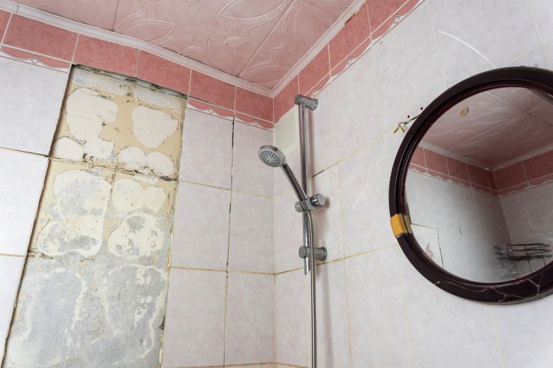 Damaged Shower Stall